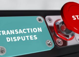 Customer Dispute Fees