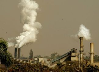 What Types of Digital Products Are the Worst for the Environment? Digital Products Are the Worst for the Environment
