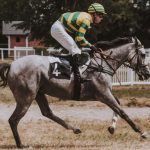 How to Place the Right Bets on the Kentucky Derby Kentucky Derby