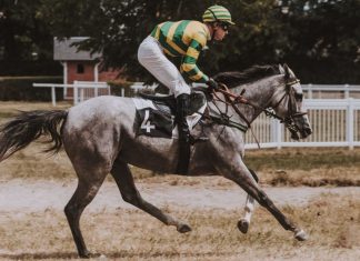 How to Place the Right Bets on the Kentucky Derby Kentucky Derby