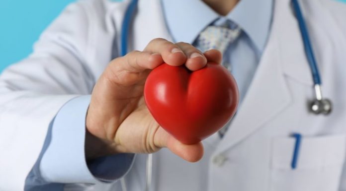 The Major Factors Affecting Access to Healthcare Major Factors Affecting Access to Healthcare