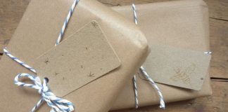 Nature-Friendly Gift Ideas For Siblings