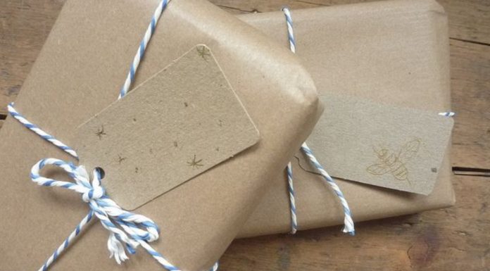 Nature-Friendly Gift Ideas For Siblings To Celebrate Raksha Bandhan In A Great Way Nature-Friendly Gift Ideas For Siblings