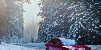 Protecting Your Car with Painted Rear Bumpers