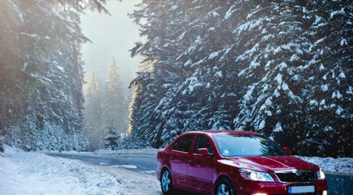 Protecting Your Car with Painted Rear Bumpers