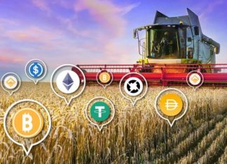 Which Is the Best Investment Strategy Between Staking and Yield Farming? Staking and Yield Farming