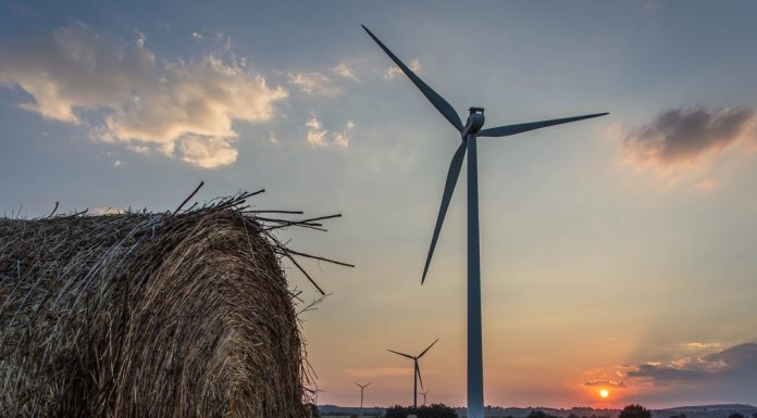 The Future of Sustainability – Emerging Trends and Opportunities The Future of Sustainability - Emerging Trends and Opportunities