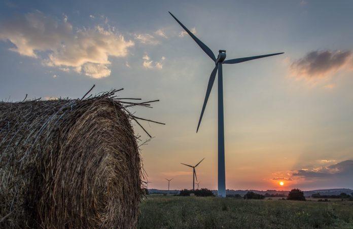 The Future of Sustainability - Emerging Trends and Opportunities The Future of Sustainability - Emerging Trends and Opportunities