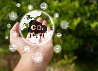 Five Ways Blockchain Can Build Trust in the Voluntary Carbon Market