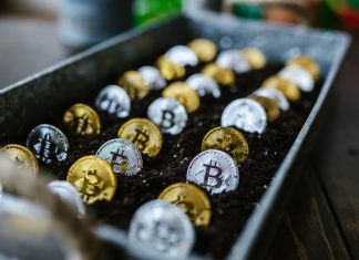 Top 5 Game Providers That Offer Crypto Slots crypto growth