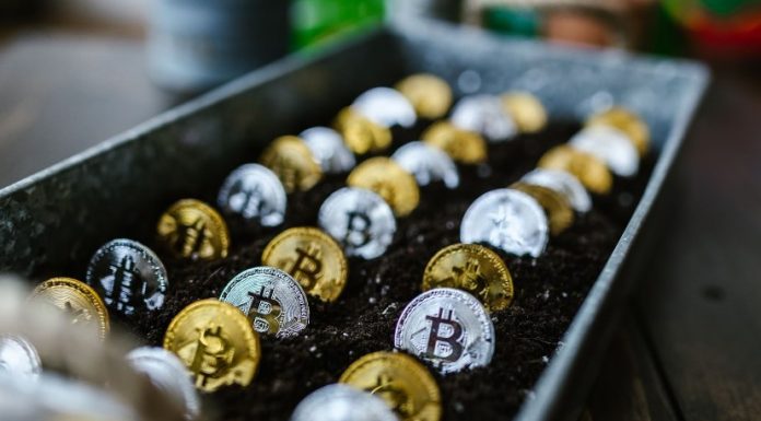 Top 5 Game Providers That Offer Crypto Slots crypto growth