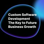 Custom Software Development The Key to Future Business Growth custom software development