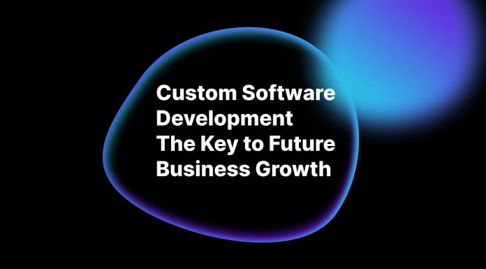 Custom Software Development The Key to Future Business Growth custom software development