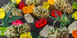CBD Hemp Oil: Everything You Need to Know CBD hemp oil