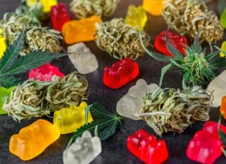 CBD Hemp Oil: Everything You Need to Know CBD hemp oil