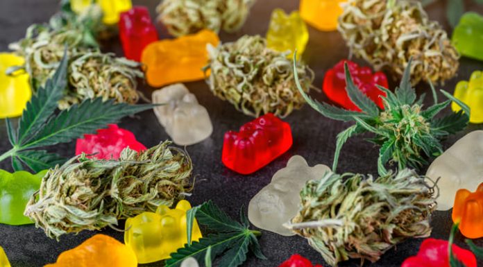 CBD Hemp Oil: Everything You Need to Know CBD hemp oil