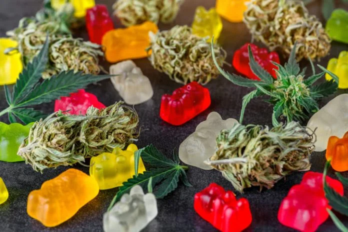 iStock-2003236067 (1) CBD hemp oil
