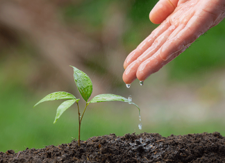 New Rules of the Game or Game Changer? Three Things to Consider as you Prepare for (mandatory) Sustainability Reporting