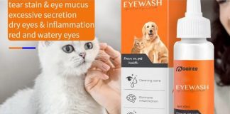 Choose an Effective Tear Strain Remover for Your Pets