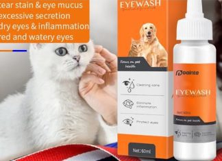 Choose an Effective Tear Strain Remover for Your Pets Choose an Effective Tear Strain Remover for Your Pets