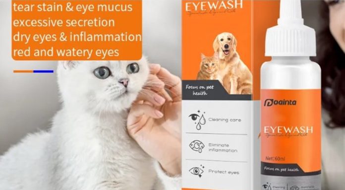 Choose an Effective Tear Strain Remover for Your Pets Choose an Effective Tear Strain Remover for Your Pets