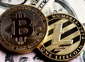 Comparing Litecoin and Bitcoin Halving: What Sets Them Apart? Comparing Litecoin and Bitcoin Halving What Sets Them Apart (1)