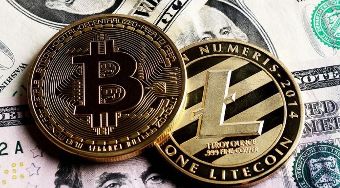 Comparing Litecoin and Bitcoin Halving What Sets Them Apart (1)