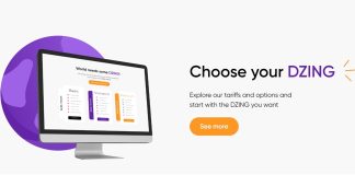 DZING Review – What to Expect from this Money Management App DZING Review – What to Expect from this Money Management App