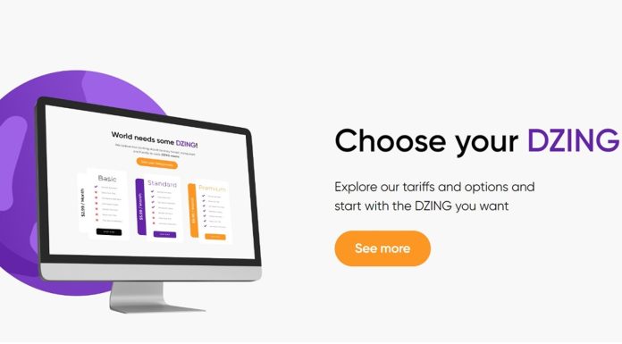 DZING Review – What to Expect from this Money Management App