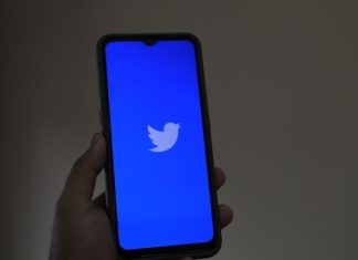 Elon Musk's Successor Confirms Creating a Crypto-Based Twitter 2.0