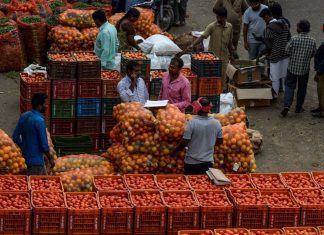 India: The Heavyweight of the Economy Ring