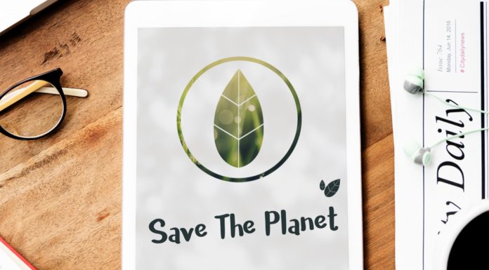 Introducing the Top 8 Marketplaces to Find Sustainability Experts and Services