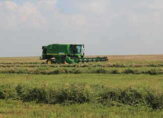 Revolutionizing the Fight Against Global Food Scarcity: Harnessing the Power of Innovative Technology Revolutionizing the Fight Against Global Food Scarcity Harnessing the Power of Innovative Technology (1)