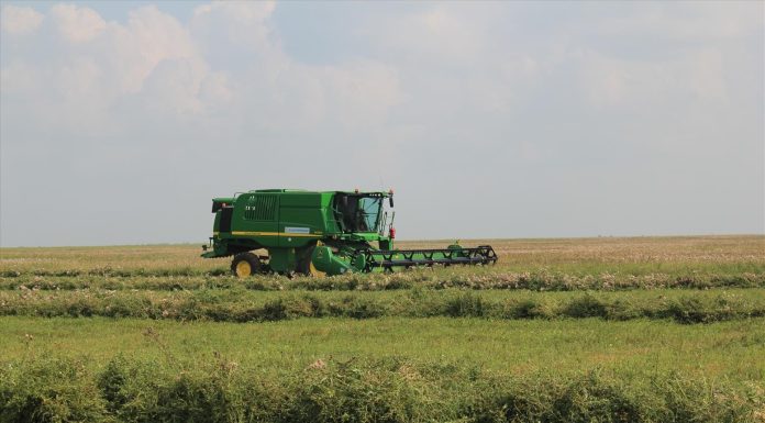 Revolutionizing the Fight Against Global Food Scarcity Harnessing the Power of Innovative Technology (1)