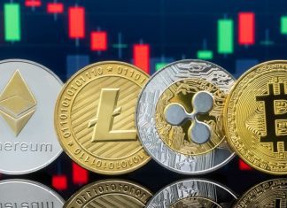 The Next Cryptocurrency to Explode in 2023 The Next Cryptocurrency to Explode in 2023 (1)