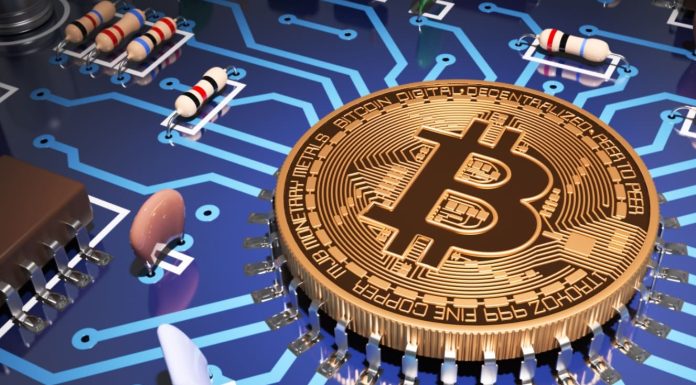 What Makes Bitcoin a Unique Asset Class (1)