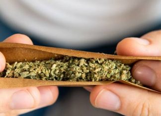 Blunt Wraps