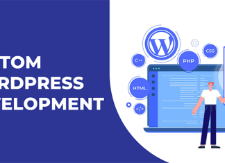 Why Custom WordPress Development is the Best Option for Your Business wordpress development