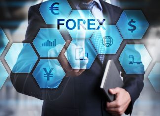 Find Out the Hidden Profit Windows to Trade Forex FOREX