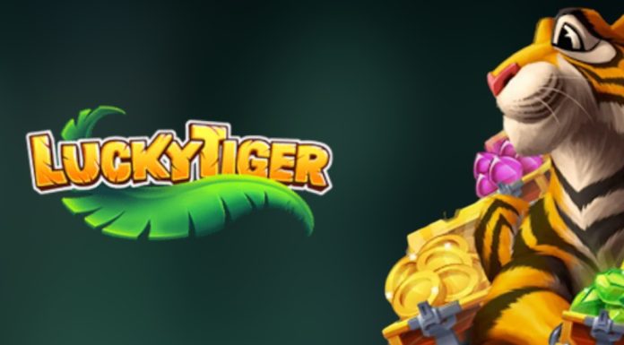 Lucky Tiger Casino Review