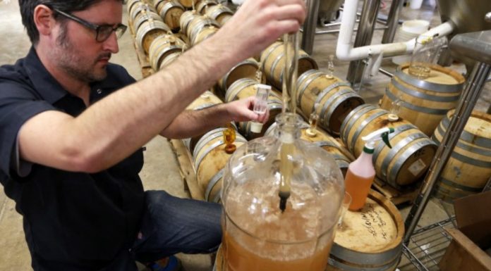 Sustainable Brewing How Do You Make Beer Sustainably