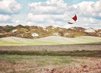 The Importance of Recultivation: Restoring Land for a Sustainable Future The Importance of Recultivation Restoring Land for a Sustainable Future (1)
