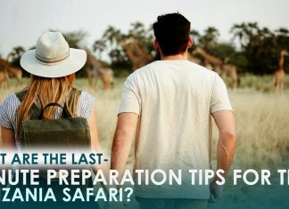 What Are the Last-Minute Preparation Tips for the Tanzania Safari? What Are the Last-Minute Preparation Tips for the Tanzania Safari
