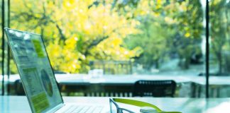 Working in Your Garden? Here’s How to Make it A Productive Space Working in Garden