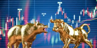 Bear Market Principles and Strategies