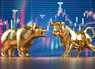 Bear Market: Principles and Strategies Bear Market Principles and Strategies