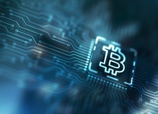 The Risk-Reward Paradigm: Trading Stocks vs. Cryptos in the UAE Crypto trading-