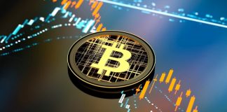 Cryptocurrency Market