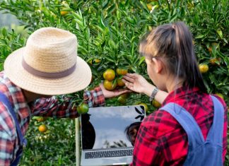 Role of Digital Marketplaces in Modern Farming