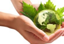 Sustainability-related Assurance and Reporting A Comprehensive Insight